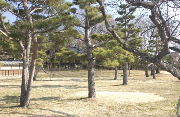 現代の供養に寄り添うお位牌選びと通販活用術で叶える心ある弔い